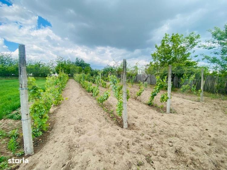 Casă cu 4 camere în Marotinu de Sus