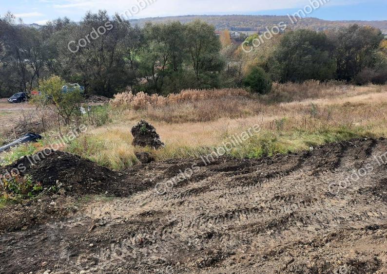 Terenuri intravilane de vanzare in Chinteni parcele de 730920 mp, utilita?i aproape, acte in regu - 1