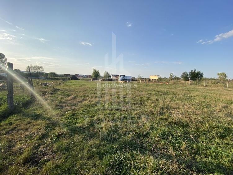 Teren intravilan 604 mp de vânzare - Șura Mică, Sibiu