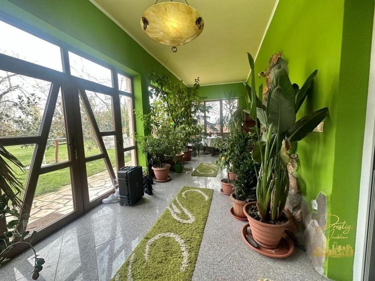 Domeniu - Centru de colectare, 7 ha de vanzare in Valea lui Mihai - 37