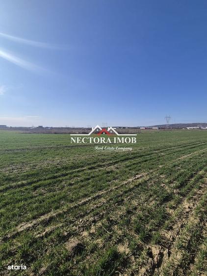 NECTORA IMOB-Teren Intravilan 537 mp, Zona Solay, 250 m de asfalt - 1