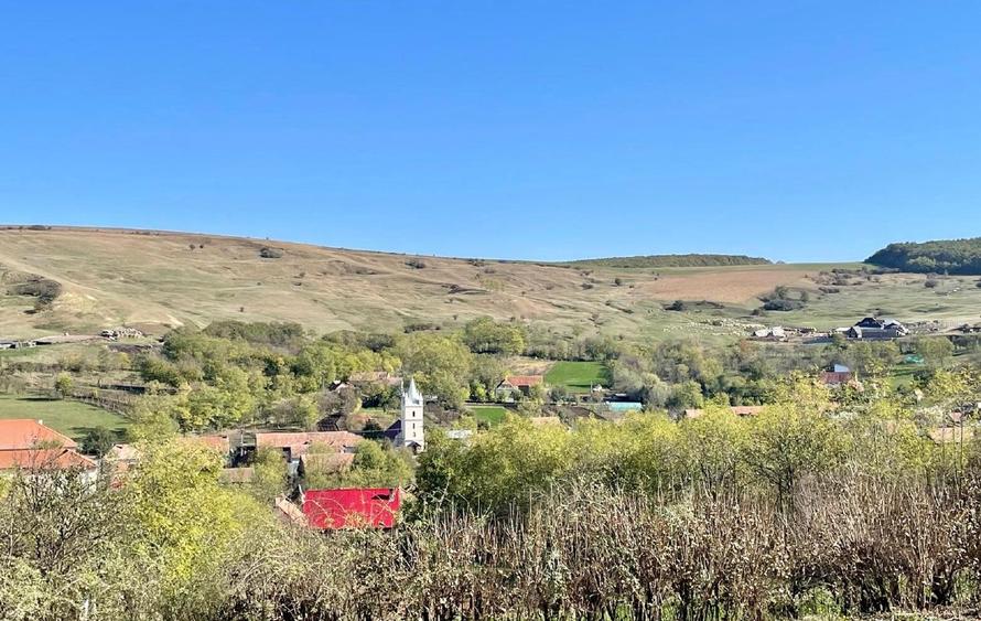 Oportunitate: teren intravilan 2500 m2 cu proiect de tiny house aprobat! - 6