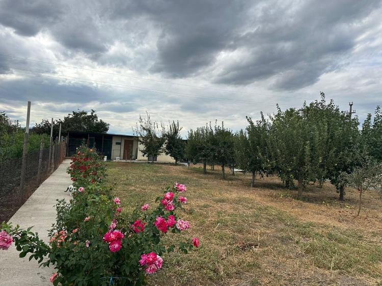 Casă spațioasă în Vânători, 5 camere, teren 1070 mp, livadă - 7