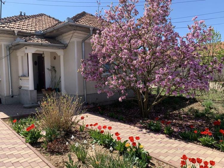 Casa + teren intravilan 1.658 mp ideal locuinta sau investitie - 2