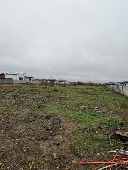 Tamasi, Corbeanca – teren 9838 mp - 6