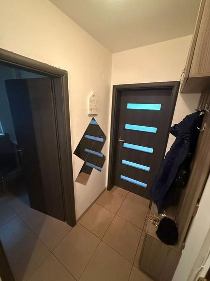 AP. 2 CAMERE IANCULUI, BUCATARIE INCHISA, PET-FRIENDLY, MOBILAT MODERN - 4