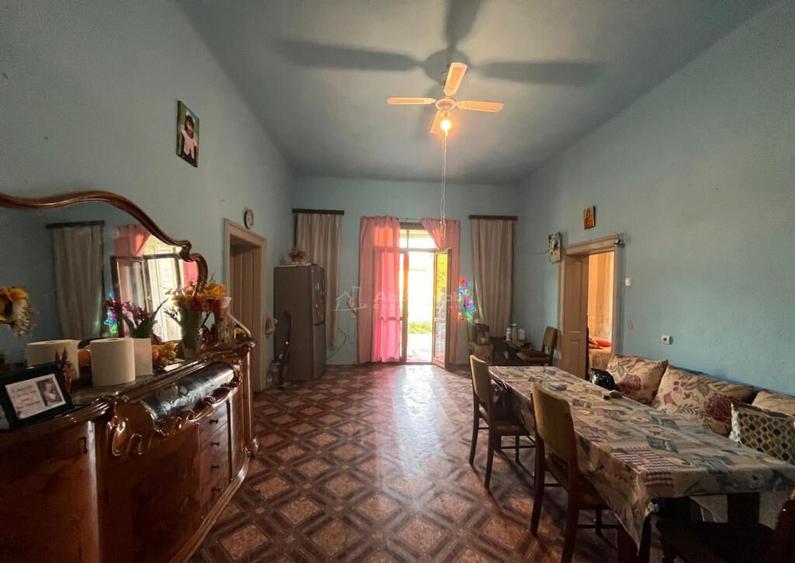 Sacu, Casa 426 Mp. Construiti, 6.500 Mp. Teren - 18