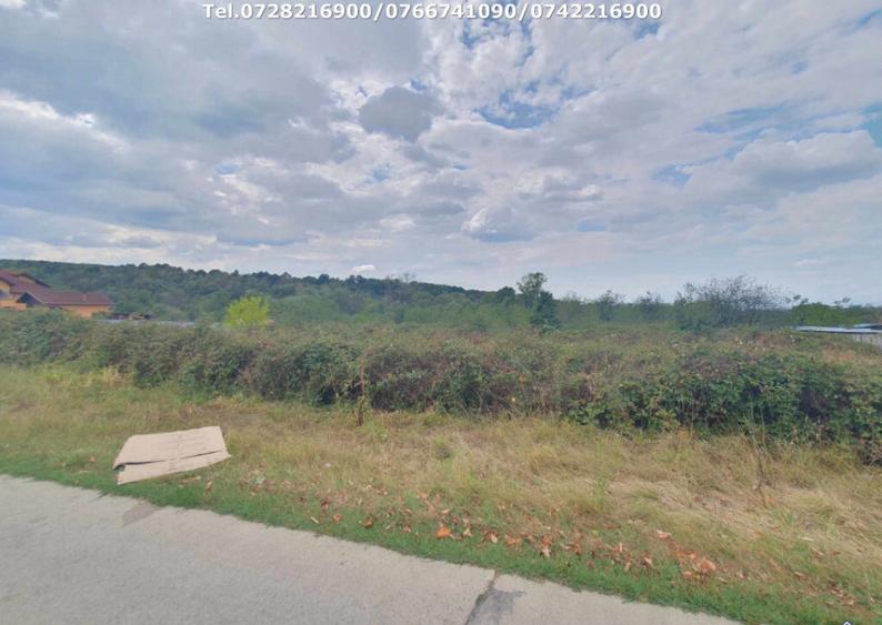 Teren Intravilan (1000 mp),situat in Danesti -Vacarea - 3