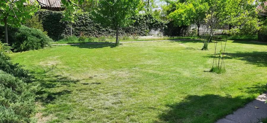 Case + teren 3000mp. de vanzare - 9