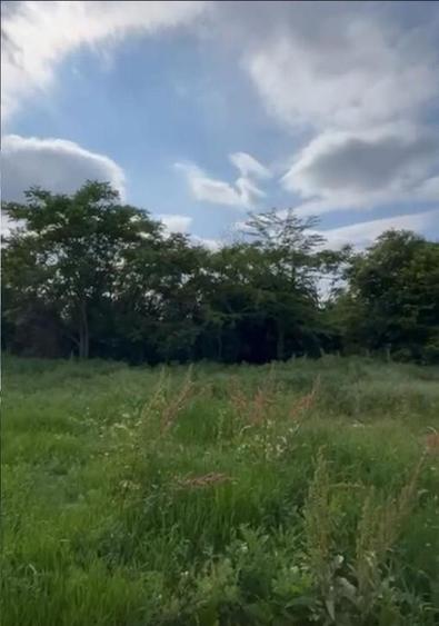 TEREN INTRAVILAN 600 mp Sisesti S+P+7E Sector 1 - 4