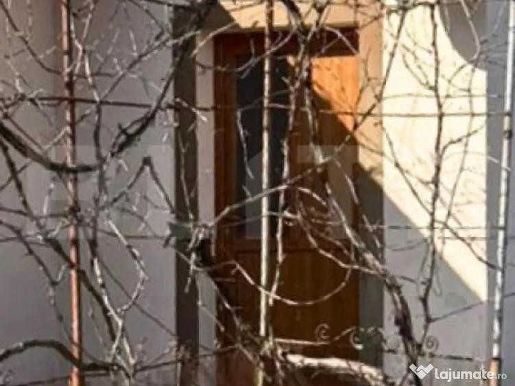 Casa cu Teren Generos Langa Titu, Brani?tea - 1.200 mp, - 3