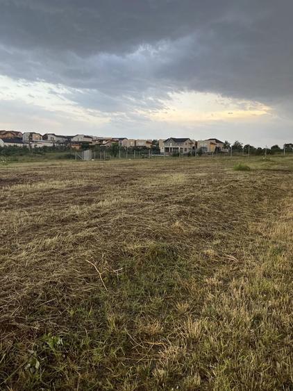 Locuri de casa cu puz 593-537-539-768mp-str Margaretelor Paleu-80E/mp. - 4