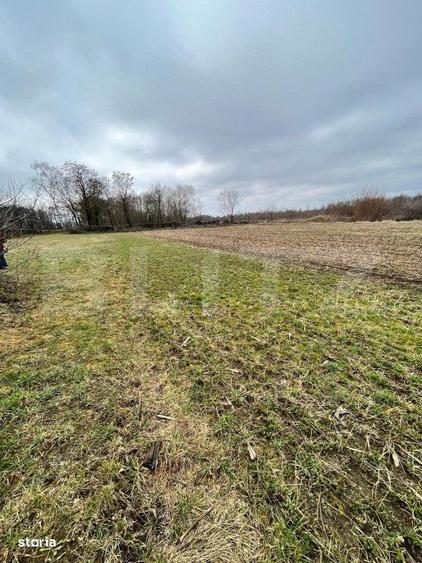 Teren intravilan 5775 mp- Galanesti - 5