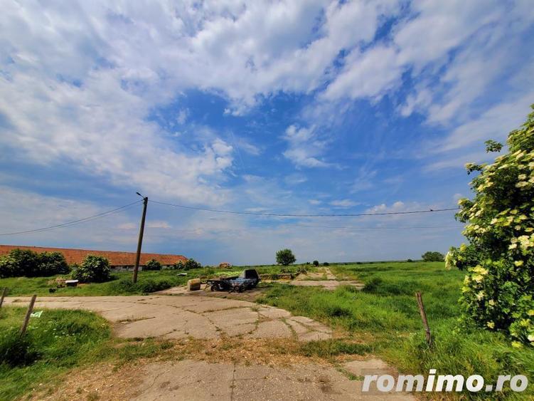 Domeniu, 9,5 ha, 25 KM de Timisoara - 7