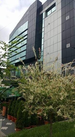 Vand imobil P+3, 490 mp  Cina - Rm Valcea - 2