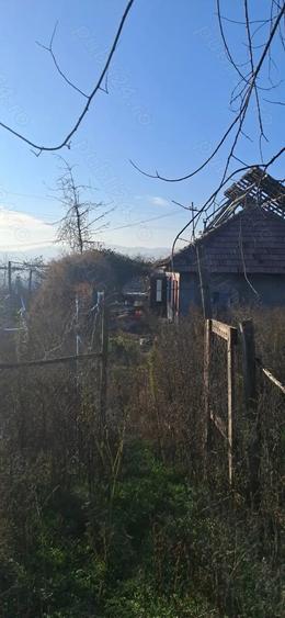 Casa batraneasca si teren. - 5