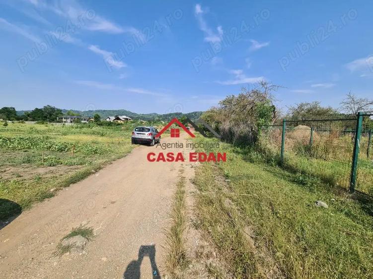 Teren intravilan in Campina, 7500mp--35e - 4