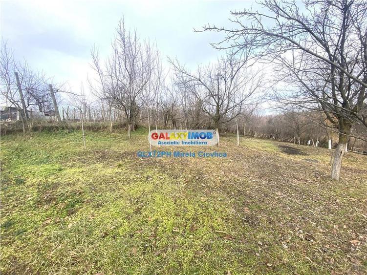 Vanzare casa Baicoi Prahova zona Dambu - 5