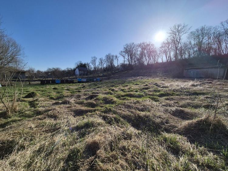 Teren extravilan (inclus in PUG 2026) aproape de Bistrita - 6