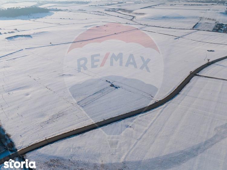 PLANTATIE ARONIA- TEREN AGRICOL - 2