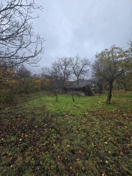 Teren 1000 mp Intravilan - 1