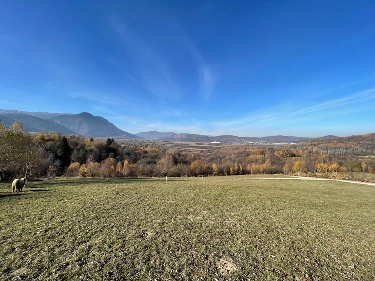 Teren intravilan loturi intre 500 si 1000 m, la 5 km de Moieciu - 9