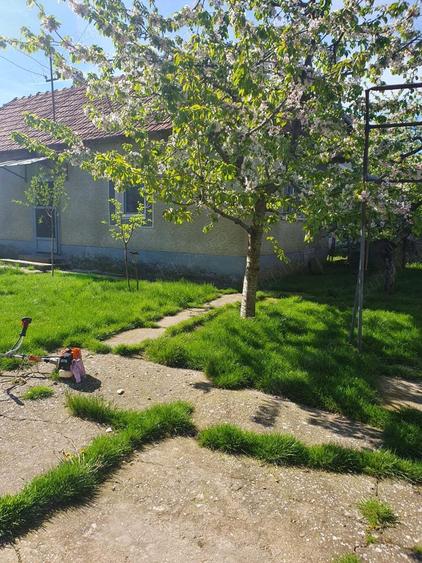 Vand casa Bicaci - 1