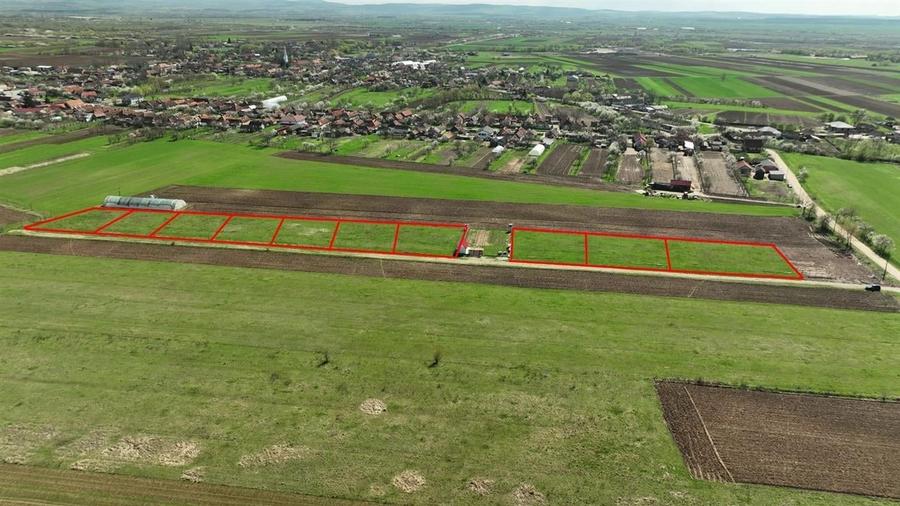 RECO , teren intravilan, Ineu,Bihor - 3