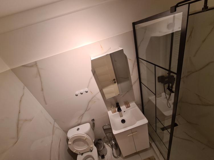 Theodor Pallady/Piata Trapezului,1 minut metrou - 6