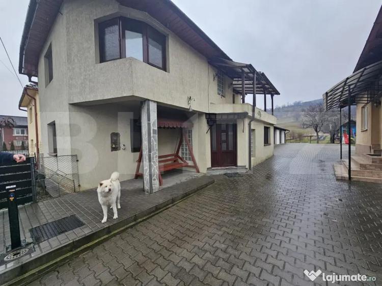 2 Case deosebite de vanzare - Zona Rebrisoara - 14
