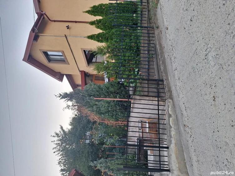 vila de inchiriat - 5