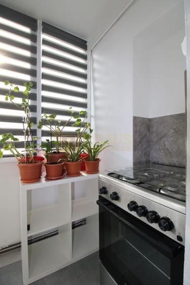 Lipovei, 3 camere, centrala proprie, pet-friendly - 11