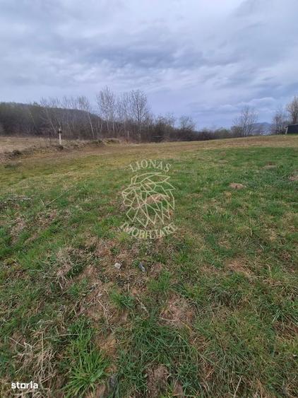 Teren 887 mp cu utilitati - Zona Dealul Jelnei - 1