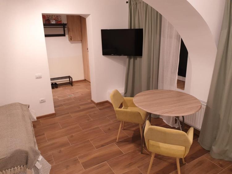 Garsoniera Cocheta - Zona Centrala - cod 5259 - 3