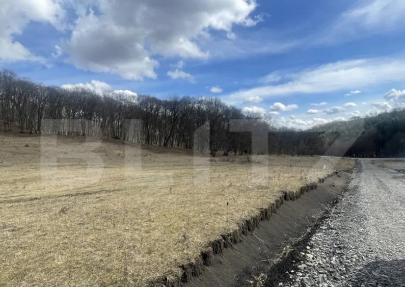 Teren extravilan de vanzare, 2,4 hectare, zona drumul Tarpiu - 4