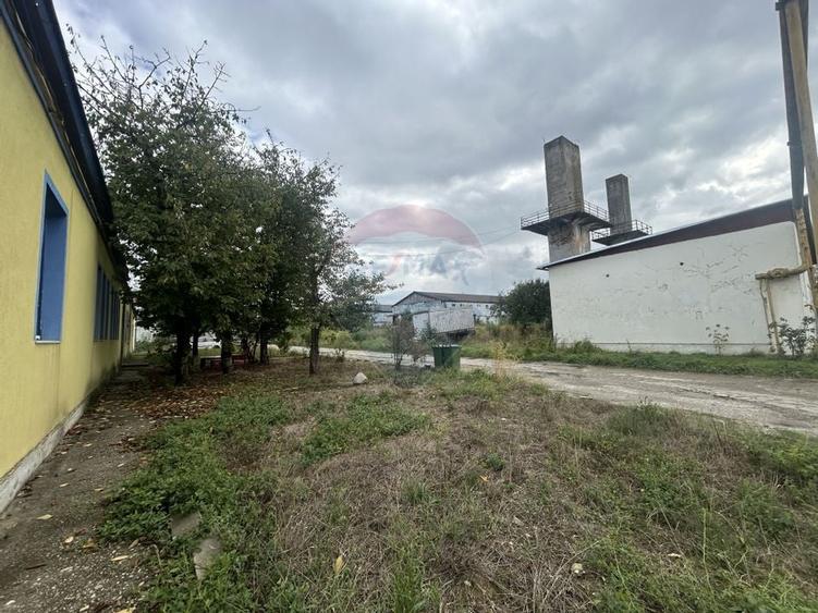 Spațiu industrial de 120mp de închiriat în zona Exterior Sud - 7