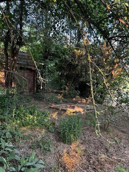 RECO Terenuri intravilane+ Teren Extravilan 8200 mp, Cartier Podgoria - 3