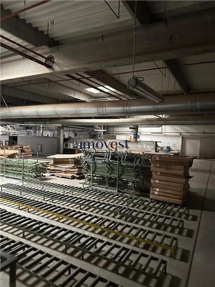 DE VANZARE COMPLEX INDUSTRIAL SATU MARE - 3