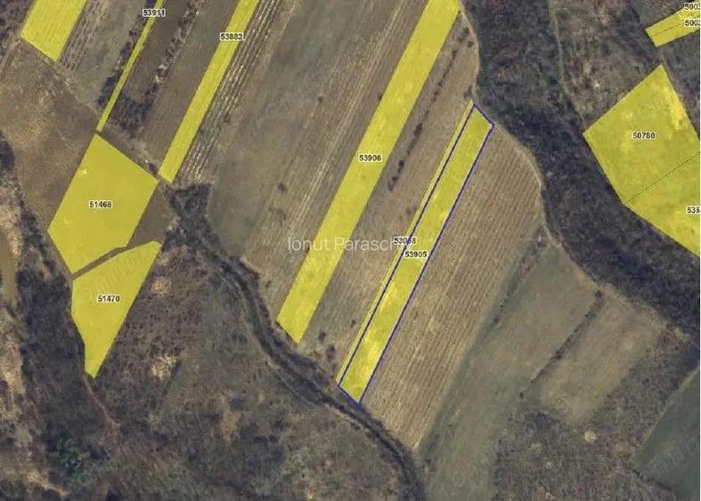 Teren extravilan Tamboesti ; ID: R2832805