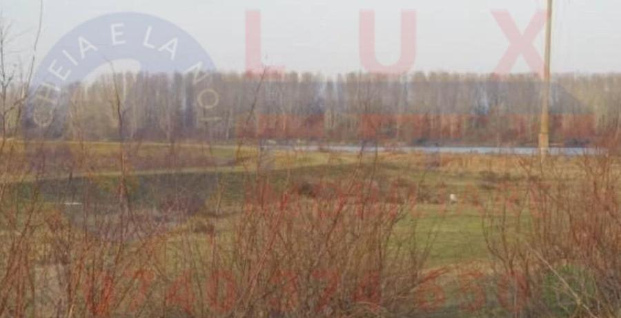 ID 7792 Teren INTRAVILAN in Delta Dunarii - Comuna Mahmudia - 2