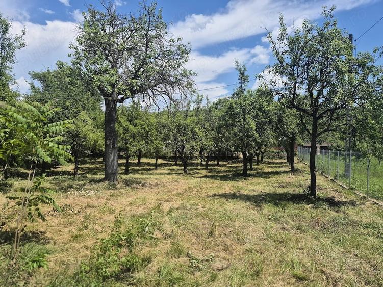 Vand teren intravilan 2295 MP in Bogati,jude?ul Arges - 3