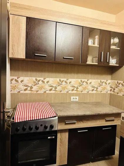 Inchiriez ap.o camera in Zona Lipovei, 35 mp, et.3 - 2