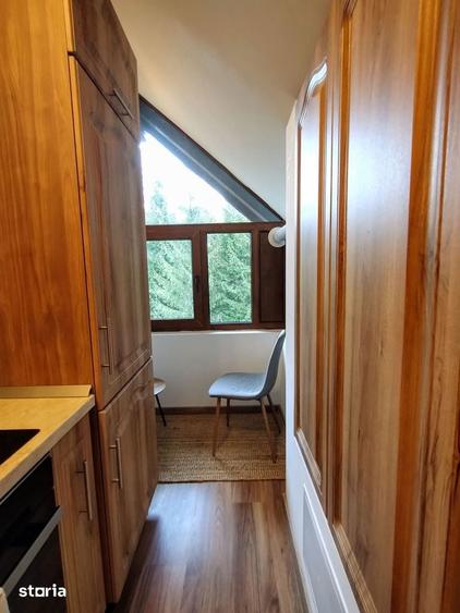 Apartament tip duplex in Sinaia - 2