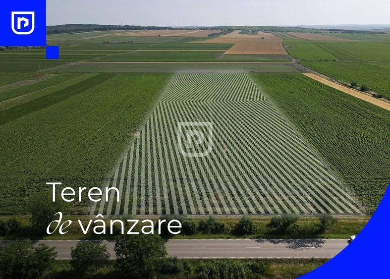 Teren agricol extravilan de 10000 mp, în Orășeni-Deal