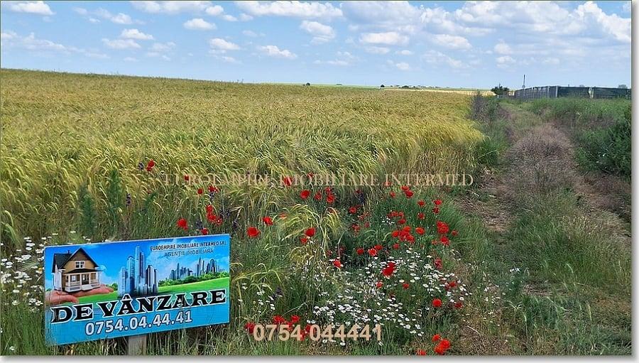 Teren de vanzare intravilan 5000mp localitatea Lazu - 1