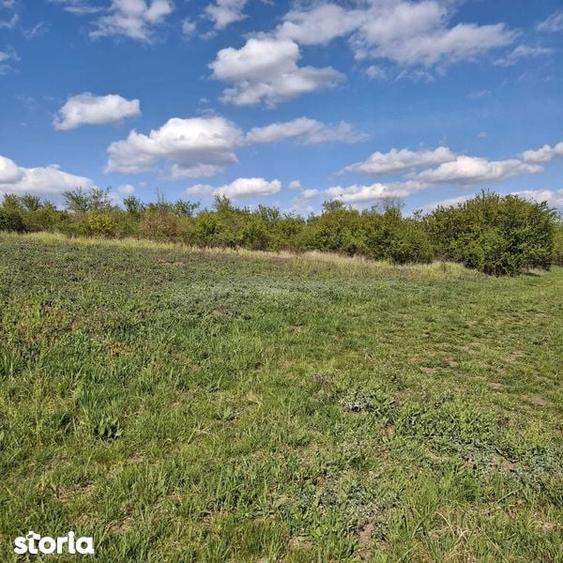 Teren Intravilan Oradea 1000 m2 Zona Nicolae Beldiceanu - 2