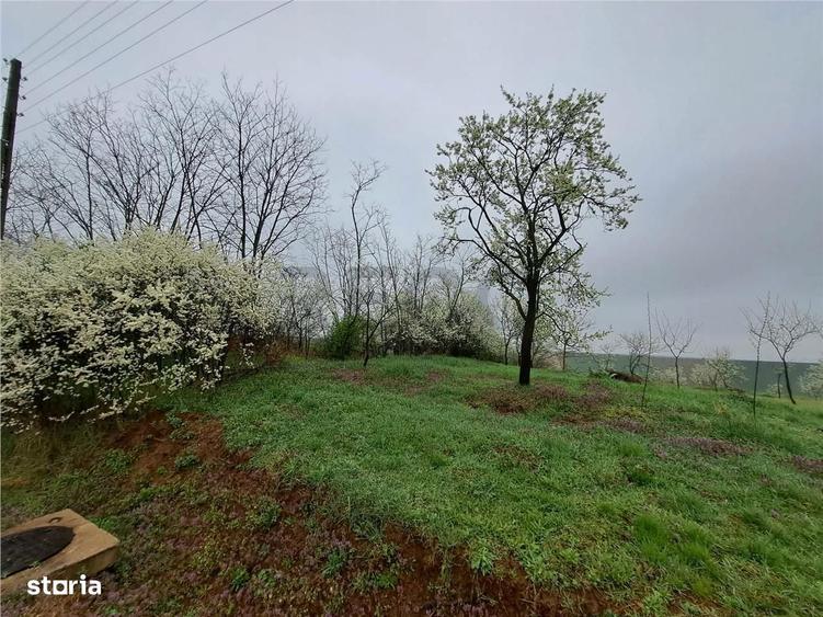 RECO teren Ghenetea - 1