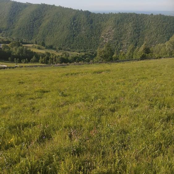 Teren intravilan in Plopi com. Valea Ierii - 4