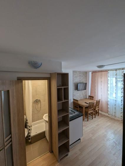 Inchiriere camera camin Nicolina - 6