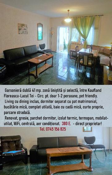  Floreasca- Lacul Tei garsonieră dublă-studio 41 mp parter la  curte - 12